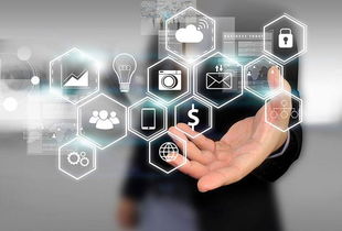 所志國(guó)軟文寫(xiě)作案例 不靠廣告靠口碑，誠(chéng)信服務(wù)成就電子商務(wù)新典范